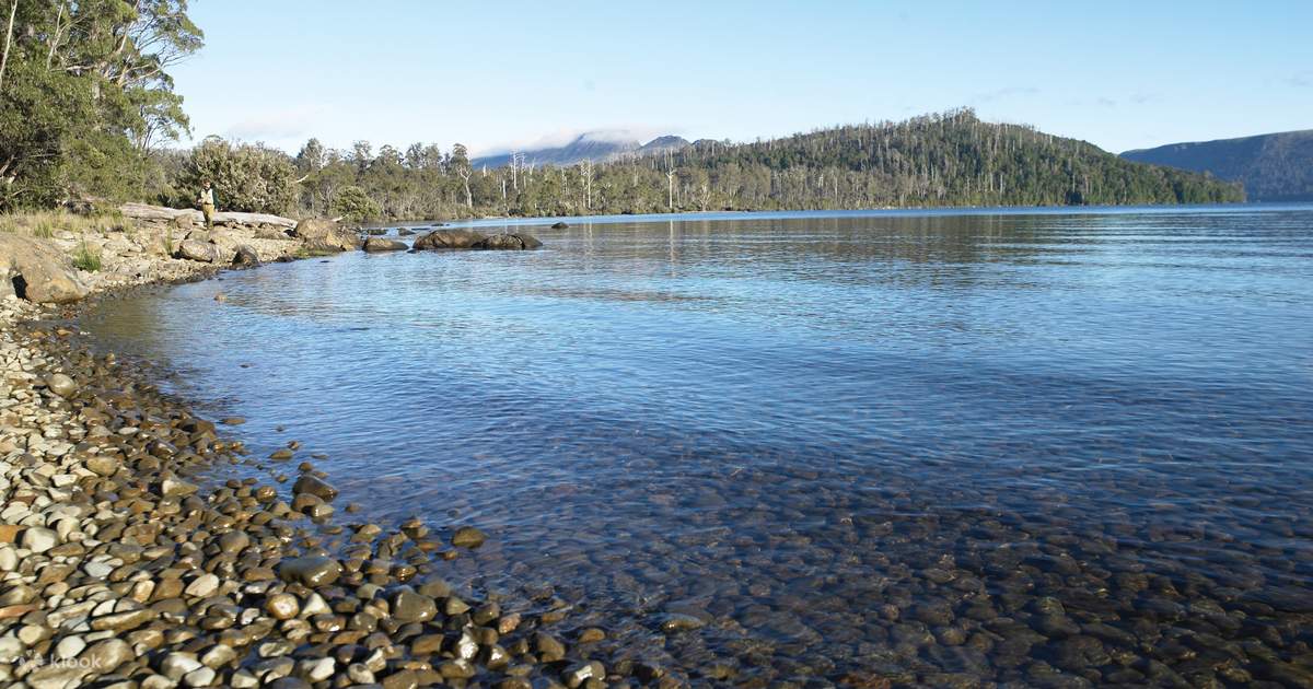 ทัวร์ชมทะเลสาบเซนต์แคลร์ (Lake Saint Clair) และป่าทางตะวันตกเต็มวัน จาก